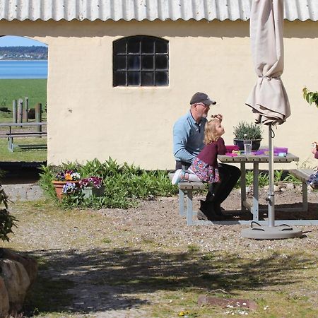 Stutteri Ahl Near Beach And Town Ebeltoft Exterior foto