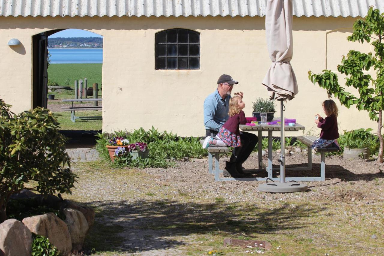 Stutteri Ahl Near Beach And Town Ebeltoft Exterior foto